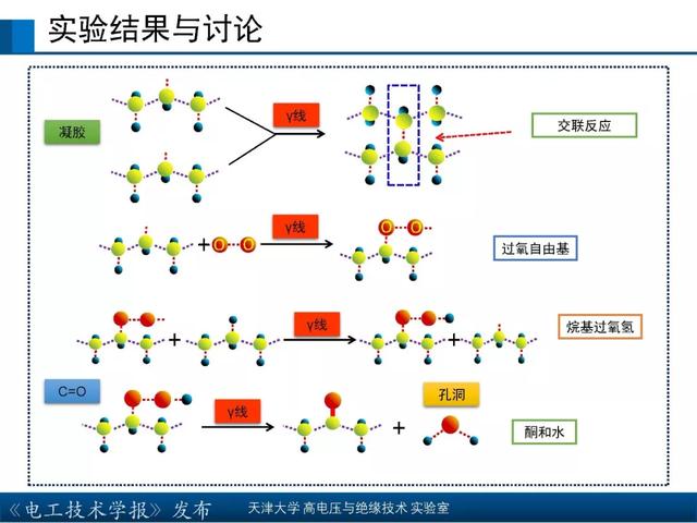 天津大學高宇副教授：核輻射環境下聚合物絕緣材料的研究新成果