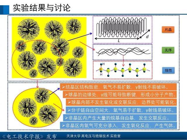 天津大學高宇副教授：核輻射環境下聚合物絕緣材料的研究新成果