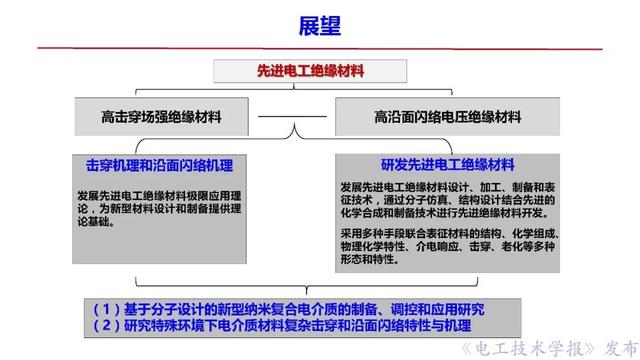 西安交大李盛濤教授：絕緣破壞僅考慮空間電荷，夠嗎？