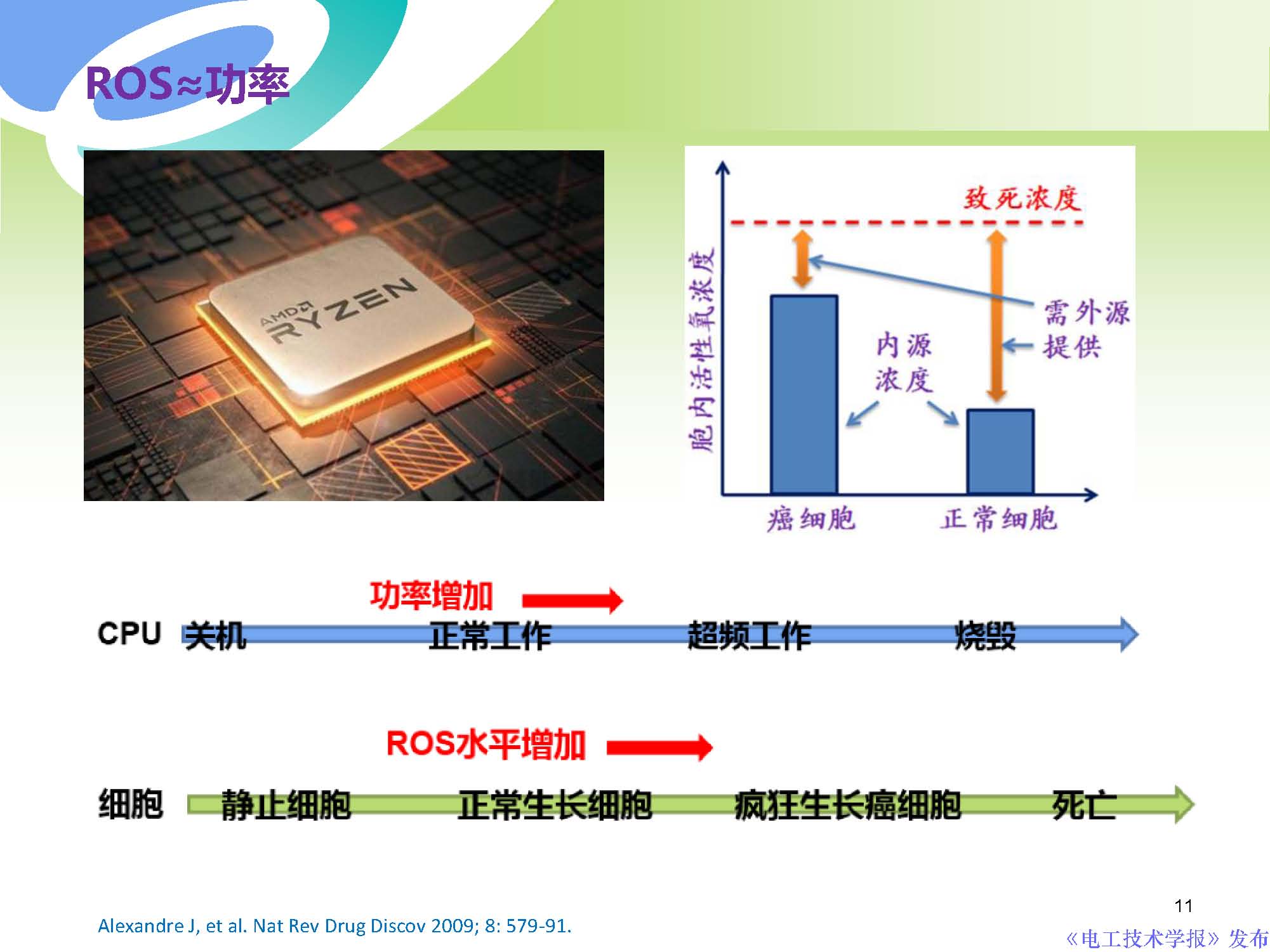 西安交通大學許德暉副教授：等離子體技術治療癌癥的最新研究進展