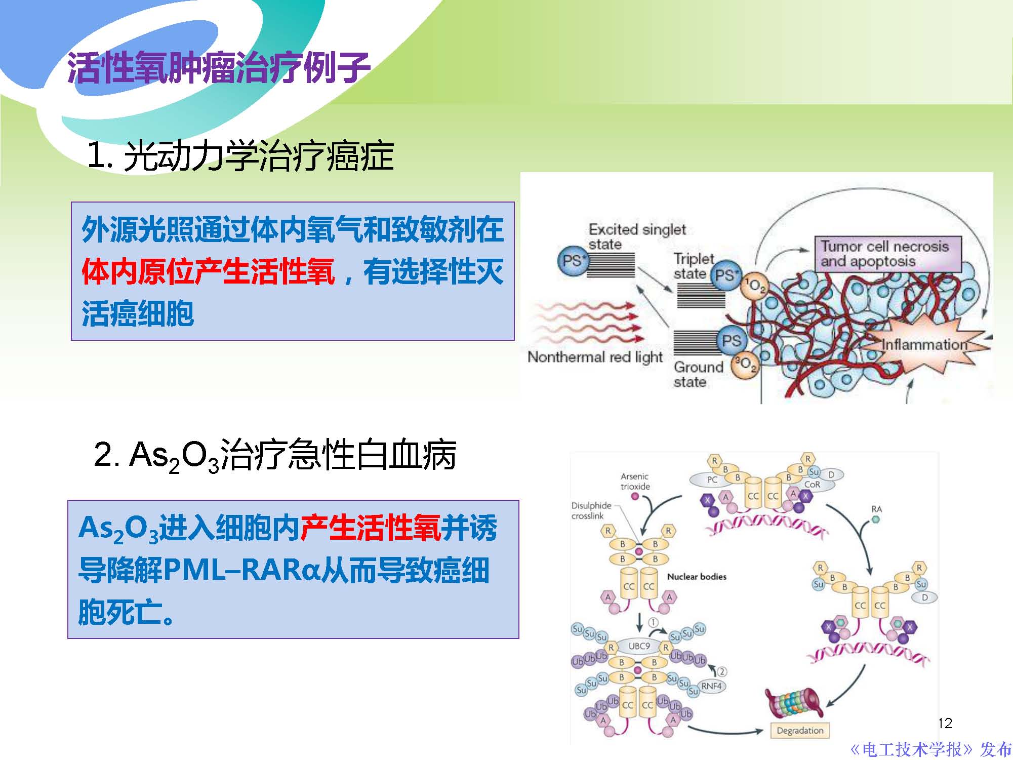 西安交通大學許德暉副教授：等離子體技術治療癌癥的最新研究進展