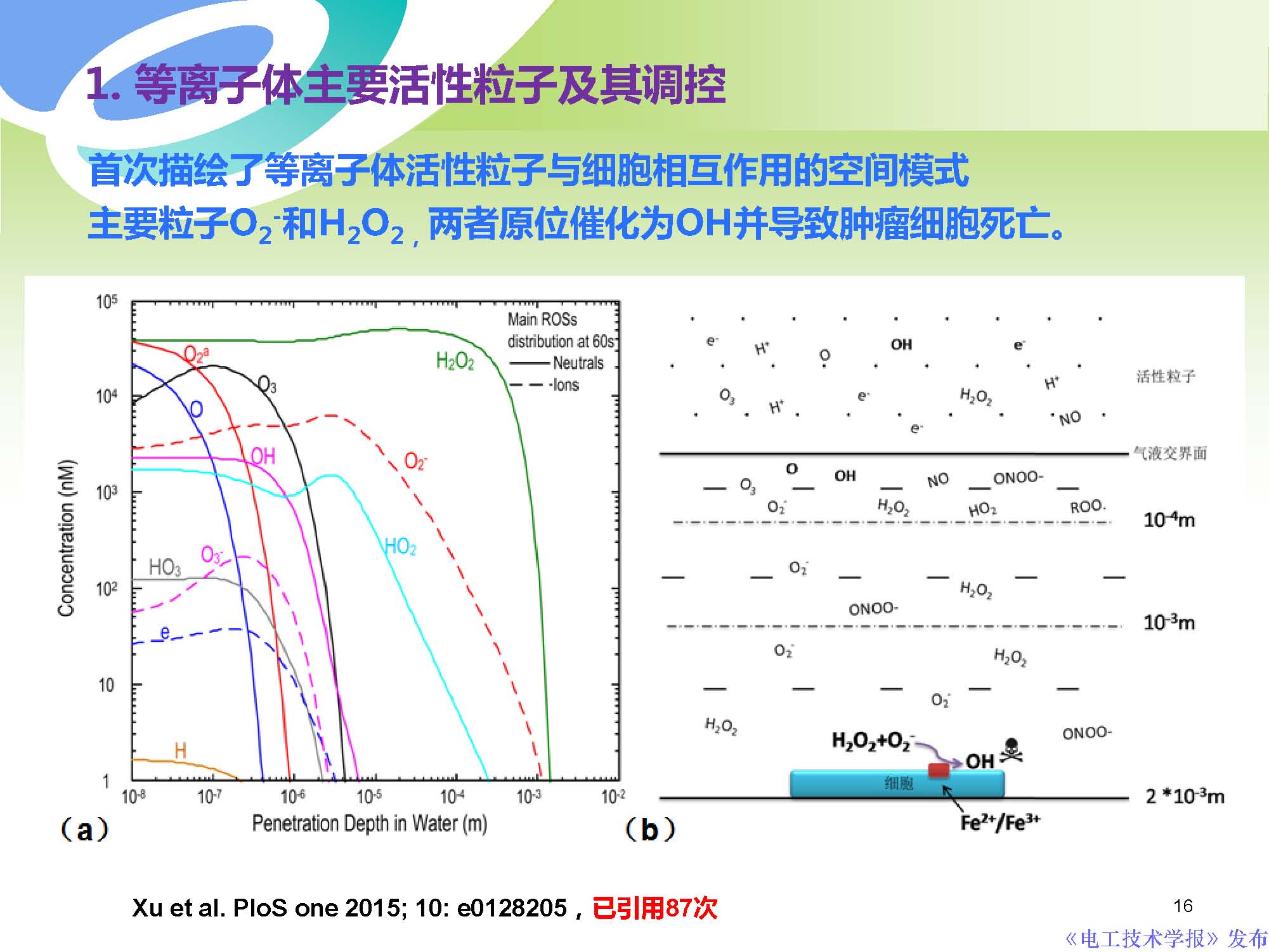 西安交通大學許德暉副教授：等離子體技術治療癌癥的最新研究進展