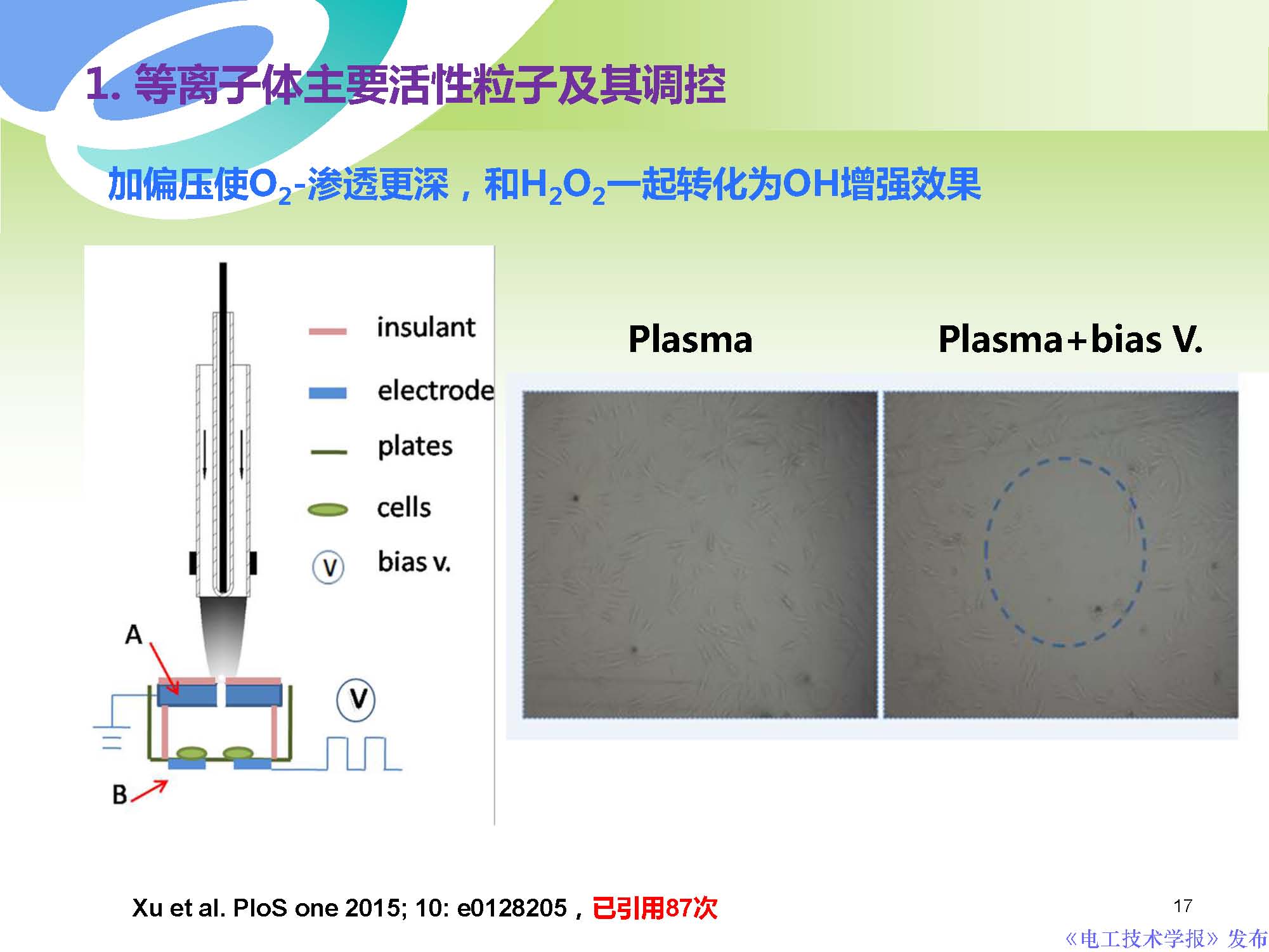 西安交通大學許德暉副教授：等離子體技術治療癌癥的最新研究進展