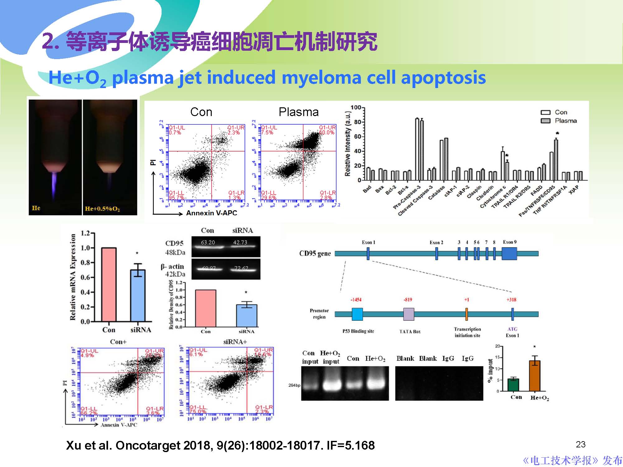 西安交通大學許德暉副教授：等離子體技術治療癌癥的最新研究進展