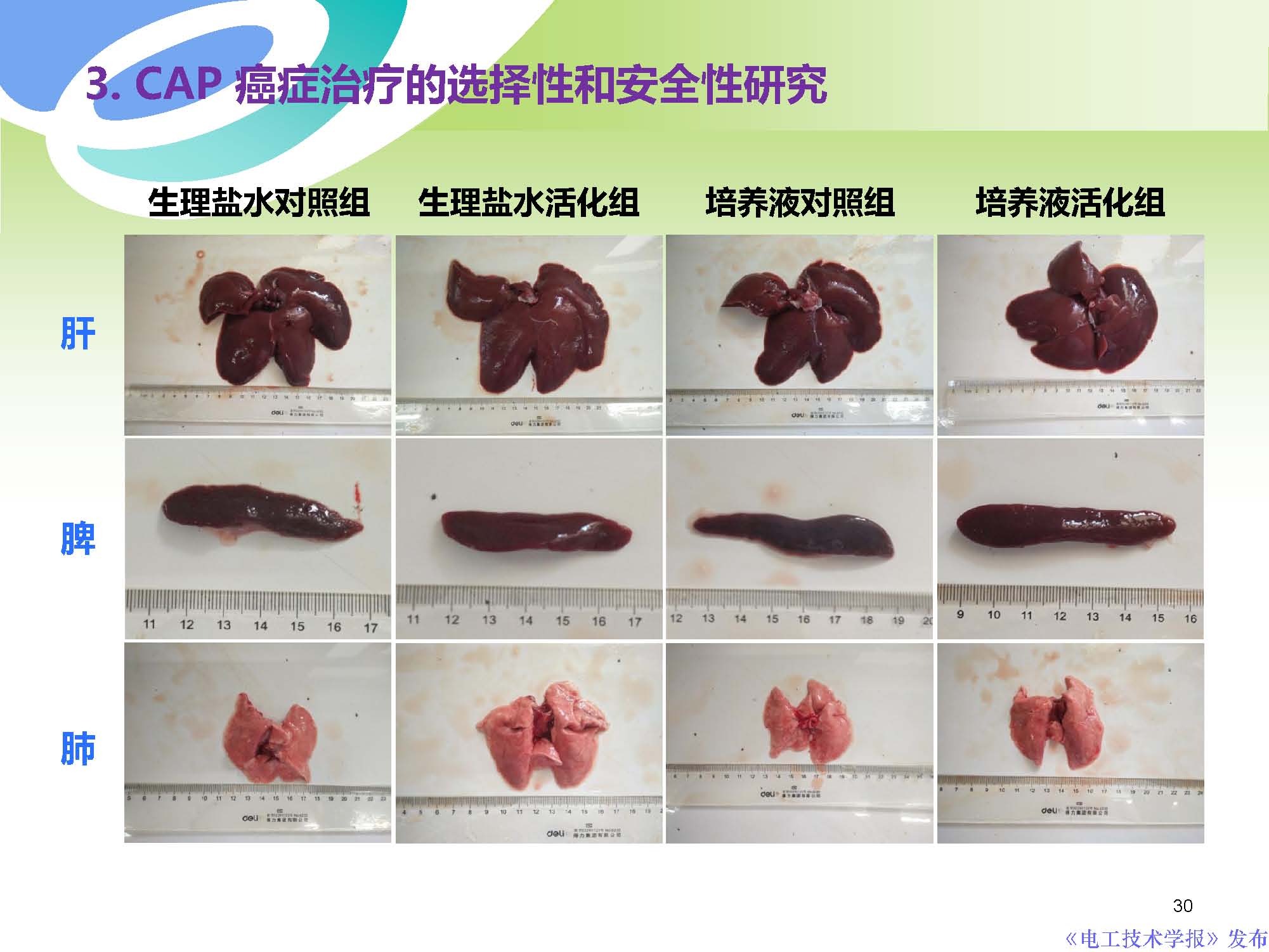 西安交通大學許德暉副教授：等離子體技術治療癌癥的最新研究進展