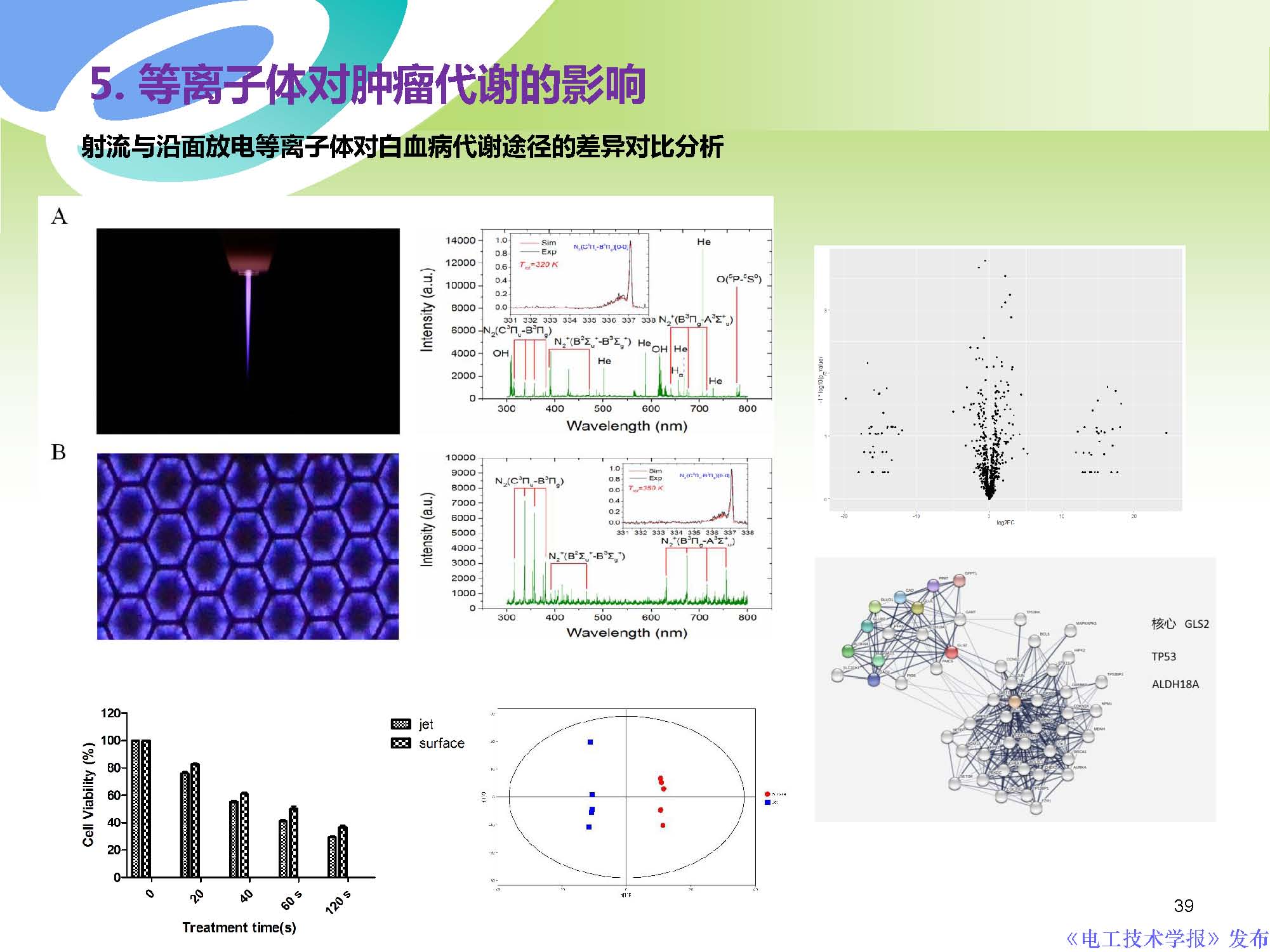 西安交通大學許德暉副教授：等離子體技術治療癌癥的最新研究進展