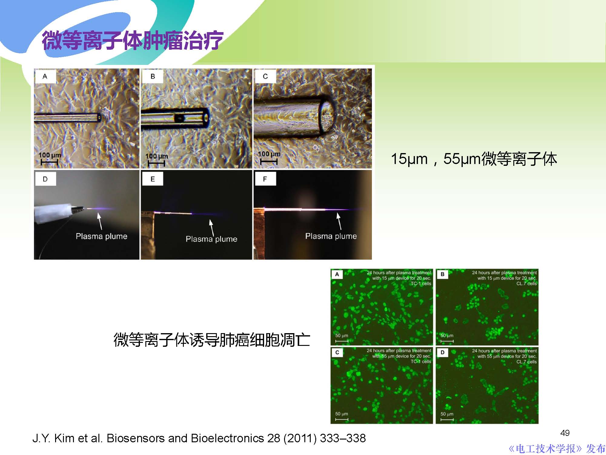 西安交通大學許德暉副教授：等離子體技術治療癌癥的最新研究進展