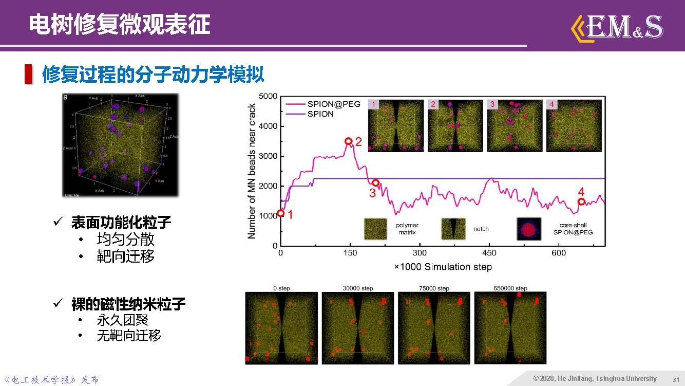 清華大學何金良教授：智能絕緣材料