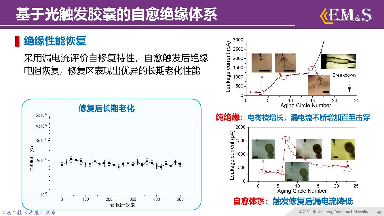 清華大學何金良教授：智能絕緣材料