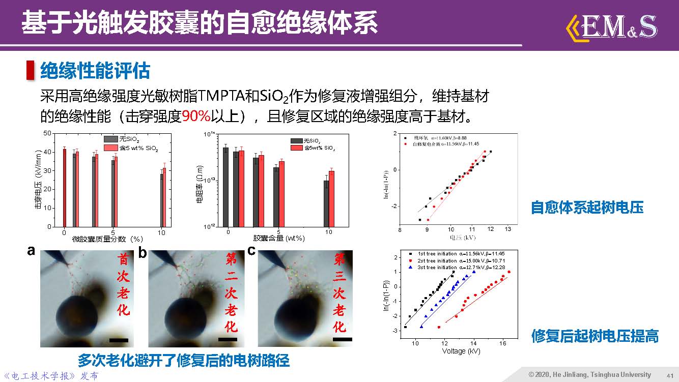 清華大學何金良教授：智能絕緣材料