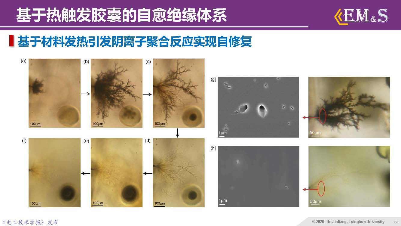 清華大學何金良教授：智能絕緣材料